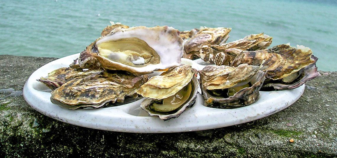 assiette d'huîtres - charente-maritime