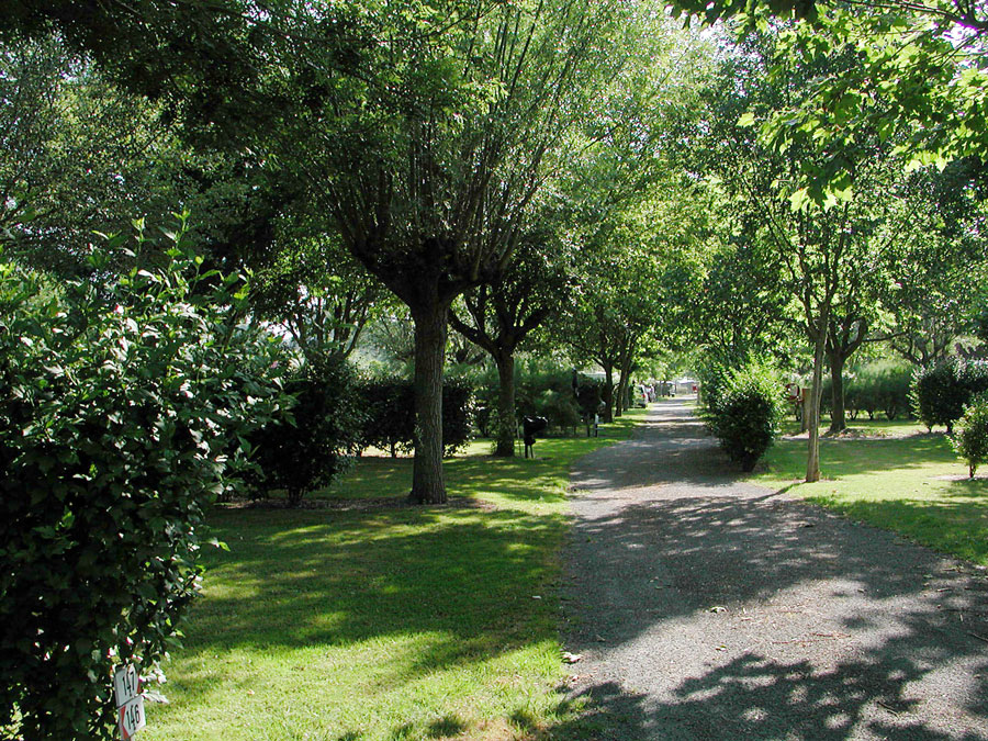 emplacements au camping Val-Vert - charente-maritime