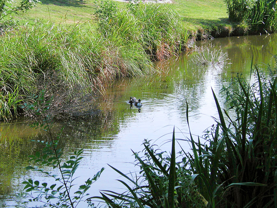 emplacements au camping Val-Vert - charente-maritime